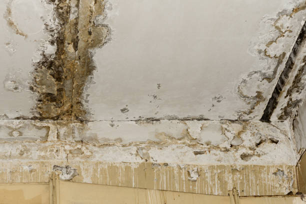 Best Indoor Air Quality Assessment  in Joanna, SC