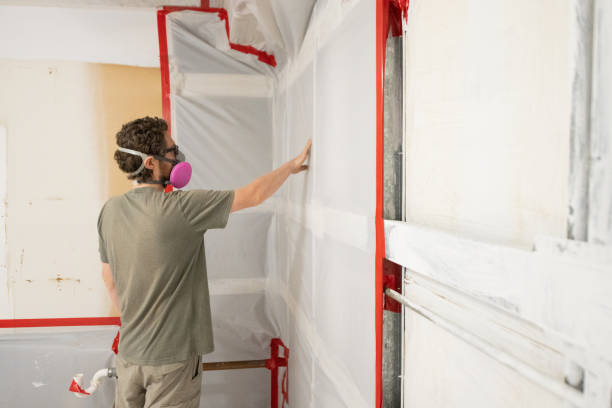 Best Post-Remediation Verification Testing  in Joanna, SC
