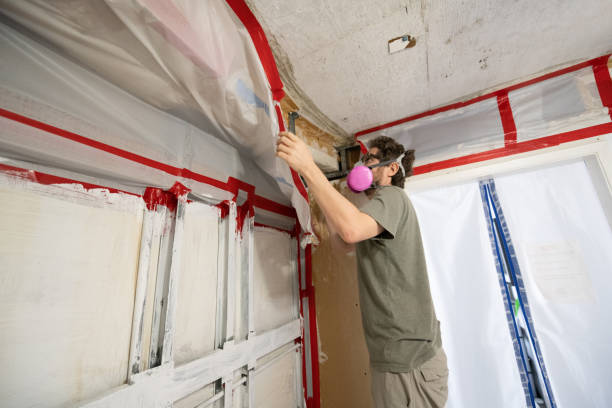 Best Real Estate Mold Inspection  in Joanna, SC