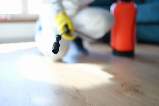 Best Dehumidification Services  in Joanna, SC