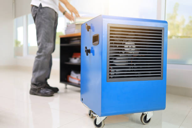 Environmental Consulting for Mold Prevention in Joanna, SC