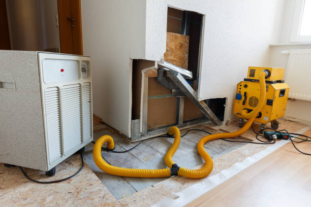 Best Comprehensive Air Testing for Mold Contaminants  in Joanna, SC