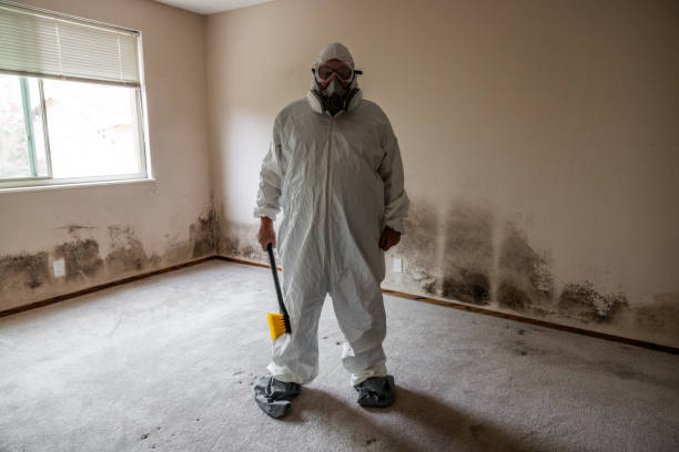 Best Air Quality Testing for Mold Spores  in Joanna, SC