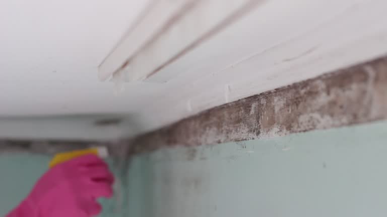 Best Indoor Air Quality Assessment  in Joanna, SC
